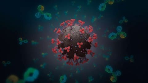 Antikörper attackieren Virus (Foto: IMAGO, imago images/Science Photo Library)