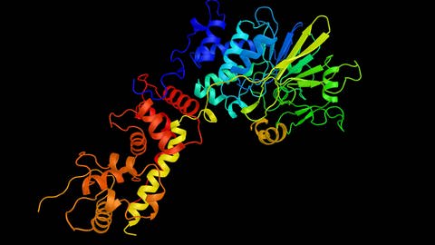 Protein, das mit dem raschen Fortschreiten der Alzheimer-Krankheit korreliert. 3D-Rendering. (Foto: IMAGO, imago/ibreakstock)