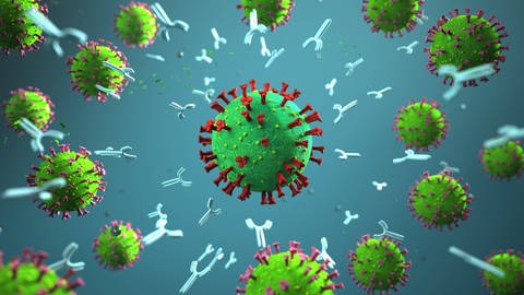 Eine robuste Immunantwort des Körpers sützt sich auf mehrere Säulen. Virusneutralisierende Antikörper, aber auch T-Helfer-Zellen und zytotoxische T-Zellen. (Foto: IMAGO, imago images/Alexander Limbach)
