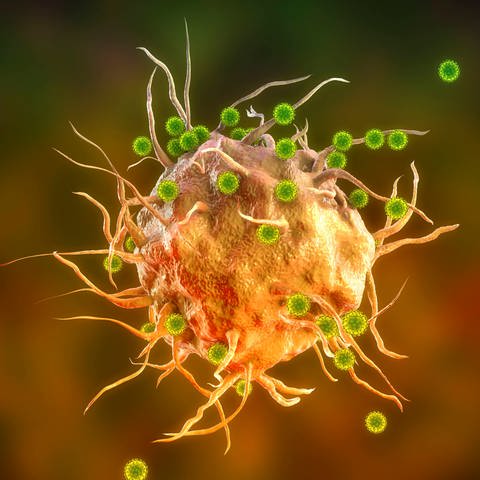 Immunzellen und Sars-CoV-2  (Foto: imago images, i)