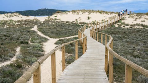 Holzsteg durch Sanddünen, Zugang zum Strand Spiaggia del Liscia auf Sardinien (Foto: IMAGO, IMAGO / imagebroker)