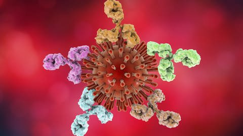 HIV und Antikörper, 3D-Illustration Konzept zur Behandlung von HIV-Infektion und AIDS (Foto: IMAGO, imago images/Kateryna_Kon)