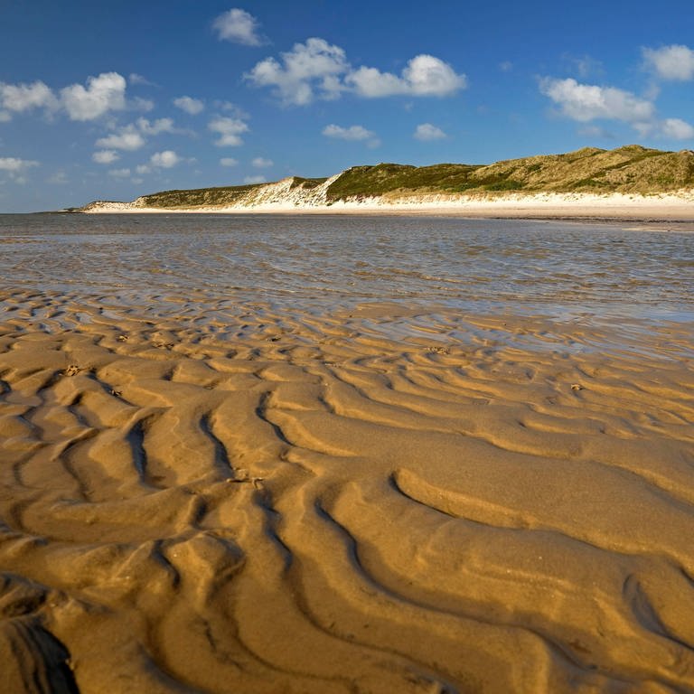 Sandstrand mit Muster: Wie entstehen am Strand die typischen Linienmuster im Sand ("Rippel")? (Foto: IMAGO, IMAGO / imagebroker)