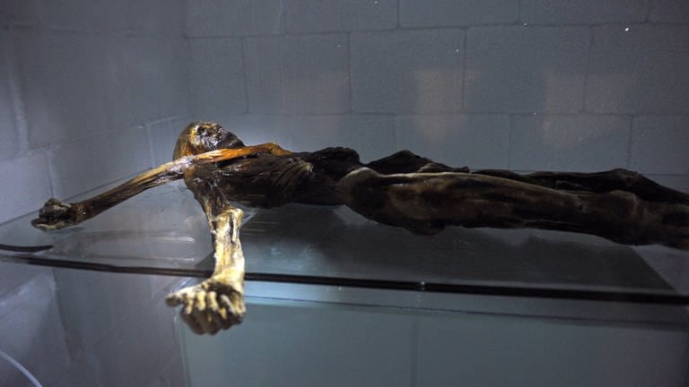 "Ötzi" wurde im September 1991 in den Ötztaler Alpen entdeckt. (Foto: IMAGO, imago)