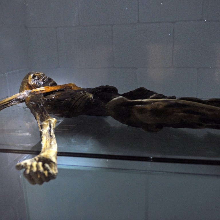 "Ötzi" wurde im September 1991 in den Ötztaler Alpen entdeckt. (Foto: IMAGO, imago)