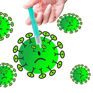 Grippeviren mutieren und müssen daher immer wieder angepasst werden. (Foto: imago images, imago/Panthermedia)