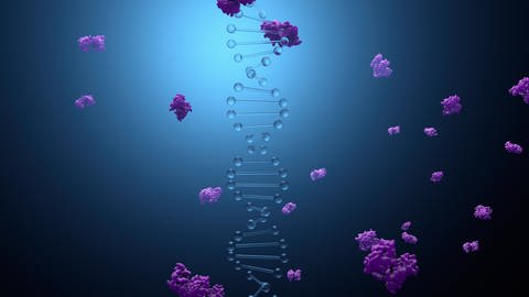 In Form von Enzymen spielen Katalysatoren auch im menschlichen Körper eine lebenswichtige Rolle, z.B. zur Vervielfältigung von DNA bei der Zellteilung. (Foto: IMAGO, imago images/Science Photo Library)