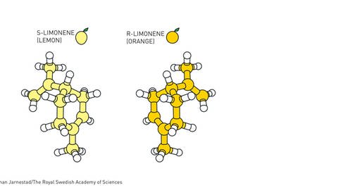 Limonen-Moleküle (Foto: Pressestelle, ©Johan Jarnestad/The Royal Swedish Academy of Sciences)