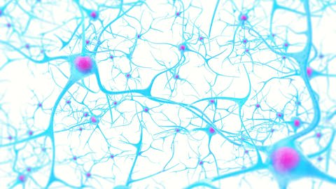 Neuronen vernetzen über Nervenbahnen unser Gehirn, wie Straßen (Foto: Colourbox)