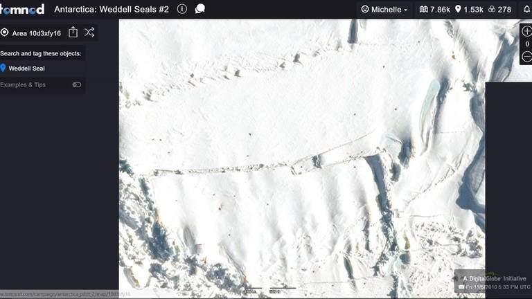 Satellitenbilder Weddellrobbenzählung (Foto: Dr. Michelle LaRue - University of Minnesota)
