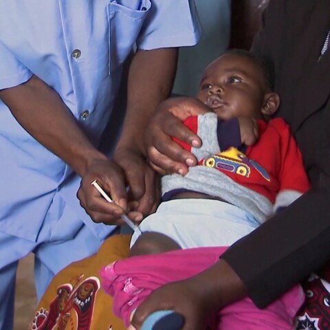 Weltweit setzt man große Hoffnung in die Entwicklung von Malaria-Impfstoffen. (Foto: SWR, SWR/Pascal Kiss)