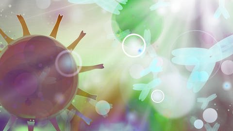 Können sich Genesene wieder mit dem Coronavirus reinfizieren? (Foto: IMAGO, imago)