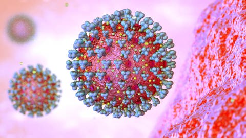Karakteristik protein berduri dari virus corona juga memainkan peran penting dalam pengembangan vaksin.  (Foto: foto imago, foto imago / MiS)