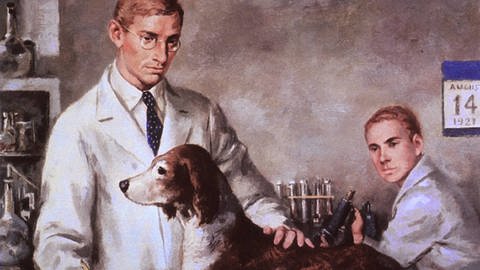 Gemälde von Frederick Banting und Charles Best bei der Behandlung eines diabeteskranken Hundes im Labor. (Foto: imago images, IMAGO / Everett Collection)