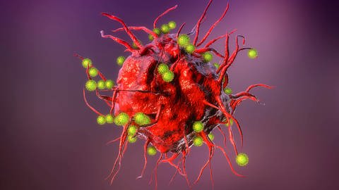 SARS-CoV-2 Viren und eine Immunzelle (Illustration) (Foto: IMAGO,  imago images/Science Photo Library)