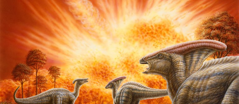 Das große Dinosauriersterben fand wohl an einem Frühlingstag vor rund 66 Millionen Jahren statt. (Foto: IMAGO,  imago images/StockTrek Images)