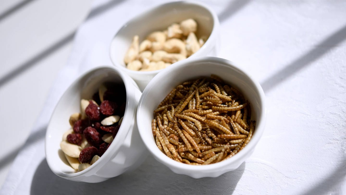 Insekten als Snack (Foto: IMAGO, IMAGO / Laci Perenyi)