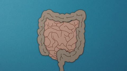 Illustration menschlicher Darm (Foto: IMAGO, IMAGO/Andreas Berheide)