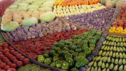 Auswahl an verschiedenem Gemüse (Foto: IMAGO, IMAGO/Frank Sorge)
