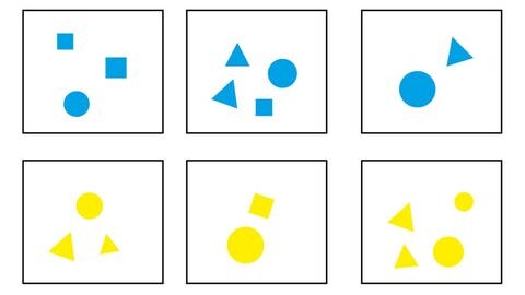 Abbildung zum Farbschema des Versuchs: Blaue Figuren bedeuten, dass ein Ziel mit der Anzahl der Figuren "plus eins" angeschwommen werden soll. Gelbe Figuren bedeuten "minus eins". (Foto: Esther Schmidt, Universität Bonn)