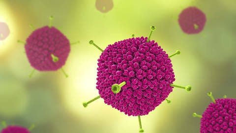 British experts currently consider adenoviruses to be the most likely cause of hepatitis cases in children.  (Photo: Imago Pictures, Imago / Science Photo Library)