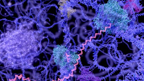 In der mRNA-Technologie steckt großes medizinisches Potential. Es ist allerdings weiter sehr viel Forschung nötig. (Foto: IMAGO, imago/Science Photo Library)