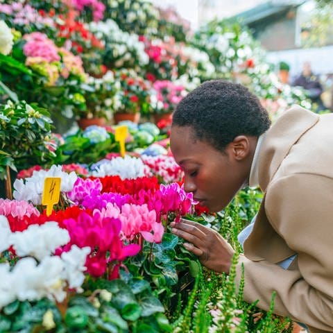 Pariser Blumenmarkt