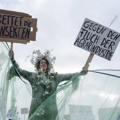 Eine grün mit Blumen verkleidete Frau hält bei einer Demonstration zwei Plakate in die Luft auf denen "Rettet die Insekten" und "Gegen den Fluch der Agrarindustrie" steht. (Foto: IMAGO, Imago/Rolf Zöllner -)