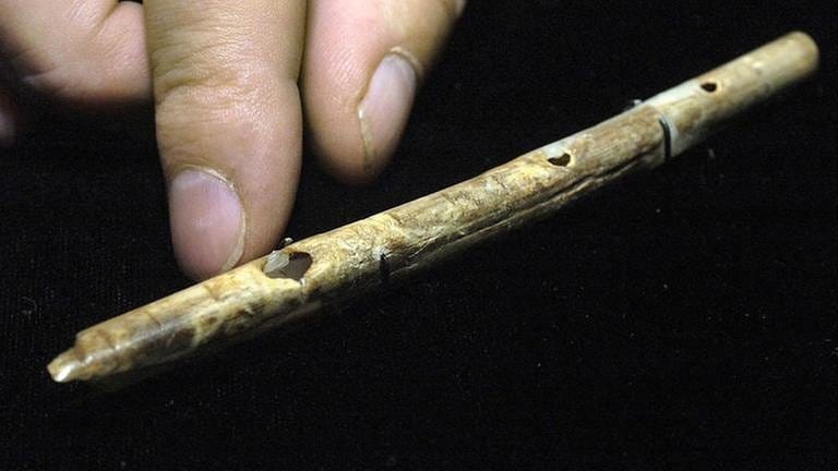 Die Knochenflöte wurde bei Ausgrabungen im Geißenklösterle, einer Höhle bei Blaubeuren auf der Schwäbischen Alb, gefunden. (Foto: picture-alliance / dpa, picture-alliance / dpa -)