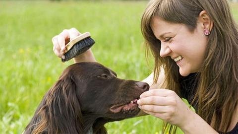 Junge Frau bürstet ihren Hund und lacht dabei (Foto: IMAGO, Imago -)