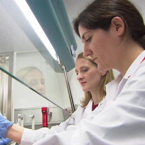 Zwei Forscherinnen vom KIT hantieren in einem Labor. (Foto: SWR, SWR -)