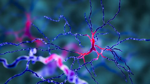 Neuronennetzwerk (Foto: IMAGO, IMAGO / Science Photo Library)