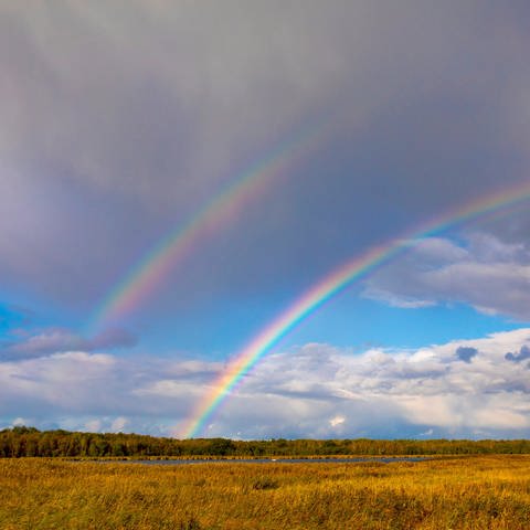 Doppelter Regenbogen über der Insel Bock: Wie entsteht ein doppelter Regenbogen? (Foto: IMAGO, IMAGO / blickwinkel)