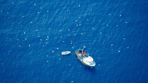 Fischerboot von oben (Foto: IMAGO, IMAGO / UIG)