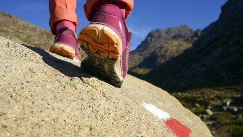 Wanderschuhe auf Wanderweg: Menschen, die sich viel bewegen, schneiden in kognitiven Tests wesentlich besser ab als Menschen, die viel sitzen und wenig aktiv sind (Foto: IMAGO, IMAGO / blickwinkel)