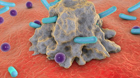 Makrophage mit Bakterien verschiedener Größen (Foto: IMAGO, imago images/Kateryna_Kon)