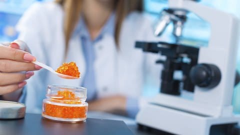 Laboruntersuchung an Kaviar. (Foto: IMAGO, Imago/Science Photo Library)