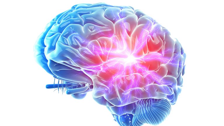 Gehirn (Foto: IMAGO, imago/Science Photo Library)