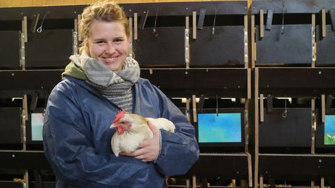 "Coffee und Cream" heißt die in Nordrhein-Westfalen gezüchtete Hühnerrasse von Inga Günther: Die Hühner können Eier legen und gleichzeitig Fleisch ansetzen (Foto: SWR, Leonie Jost)
