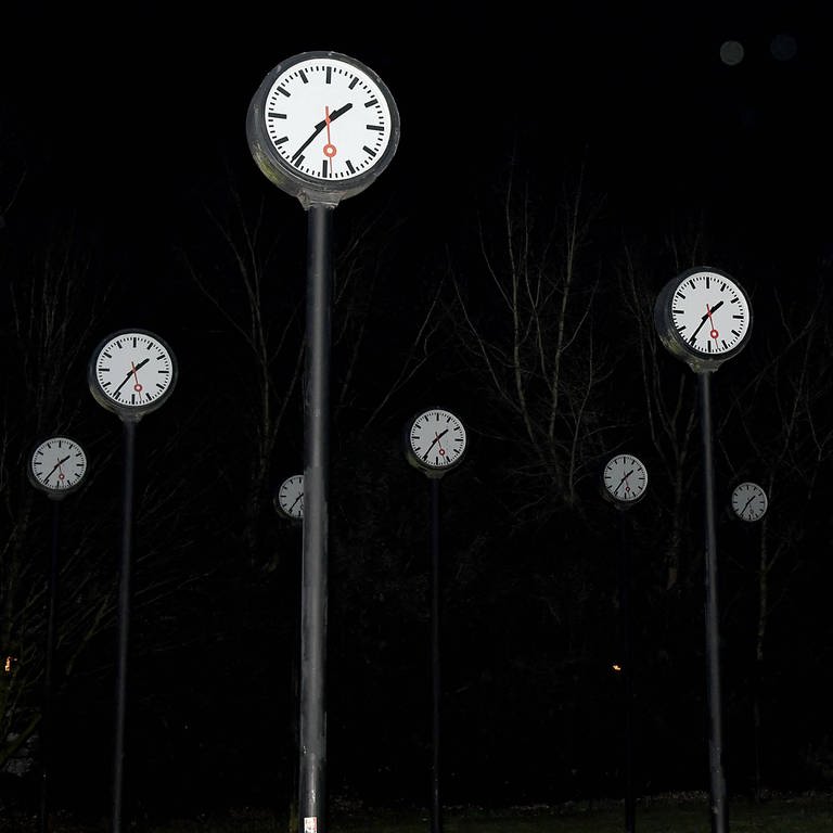 Das Zeitfeld wurde vom Künstler Klaus Rinke im Volkspark in Düsseldorf aufgestellt. 24 Bahnhoftsuhren sollen die gleiche Zeit anzeigen (Foto: IMAGO, IMAGO / Revierfoto)