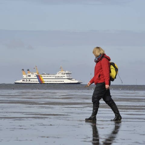 Eine Wattwanderin spaziert durch das Watt bei Dagebüll, im Hintergrund ein Schiff (Foto: IMAGO, imago stock&people)