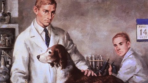 Gemälde von Frederick Banting und Charles Best bei der Behandlung eines diabeteskranken Hundes im Labor. (Foto: IMAGO, IMAGO / Everett Collection)