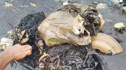 Plastikmüll der im Magen eines toten Wals auf der Insel Sulawesi in Indonesien gefunden wurde. (Foto: dpa Bildfunk, picture alliance/dpa | Kartike Sumolang)