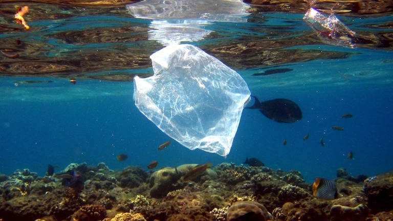 Eine Plastiktüte schwimmt im Ozean über einem Korallenriff.