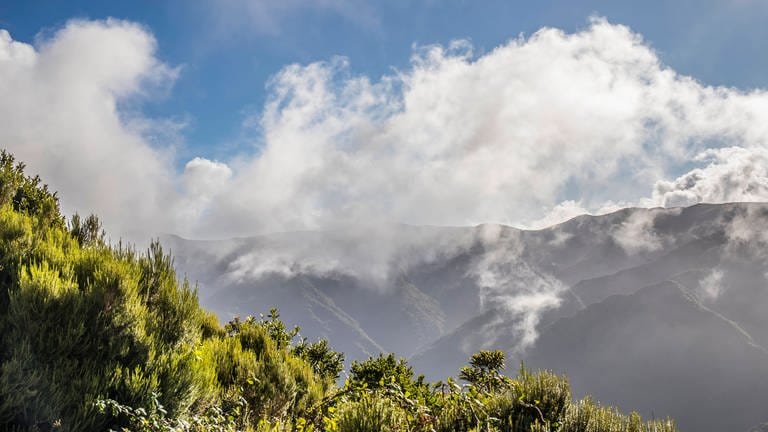 Pasatwind drückt Wolken von Norden an Bergwand: Wie entstehen die Passatwinde, z.B. in Nordafrika? (Foto: IMAGO, IMAGO / Andreas Haas)