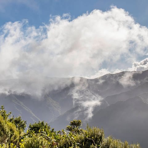 Pasatwind drückt Wolken von Norden an Bergwand: Wie entstehen die Passatwinde, z.B. in Nordafrika? (Foto: IMAGO, IMAGO / Andreas Haas)
