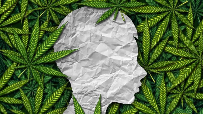 Schablone eines Kinderkopfs im Profil mit Cannabis Blättern im Hintergrund. (Foto: IMAGO, IMAGO / agefotostock)