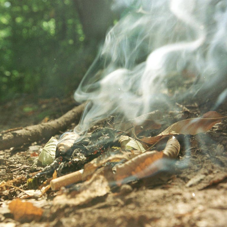 Dass Glassscherben einen Waldbrand auslösen, gilt als eher unwahrscheinlich. (Foto: IMAGO,  imago/Becker&Bredel)