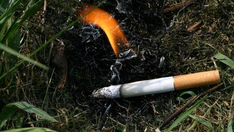 Achlos weggeworfene Zigarettenkippen können sehr viel wahrscheinlicher als Glasscherben einen Waldbrand auslösen. (Foto: IMAGO, imago/Michael Schöne)