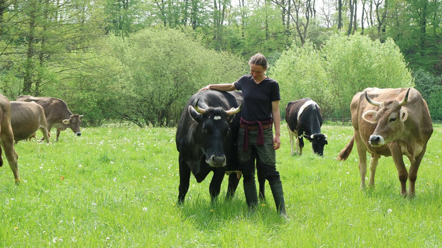 Landwirtin Annabelle Gérard mit Milchkühen: Ganzheitliches Management in der Landwirtschaft wurde ursprünglich in den 60er Jahren von Allan Savory, einem Wildbiologen in seiner Heimat Südrhodesien, entwickelt